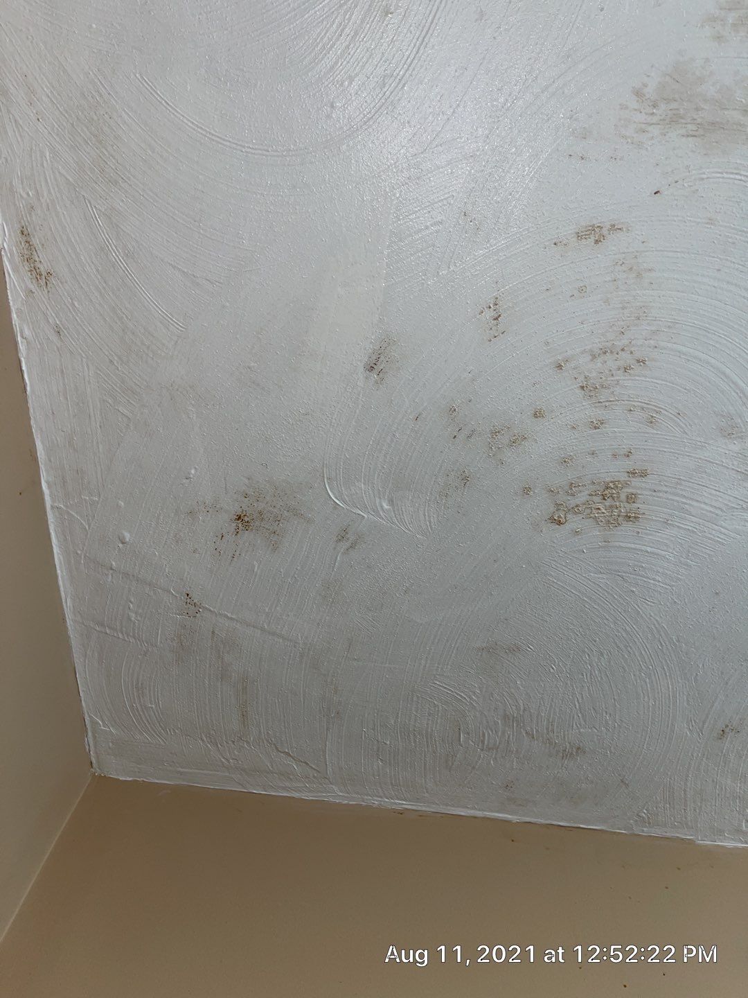 Off-white ceiling with brown spots, likely mold. Corner of a light tan wall.