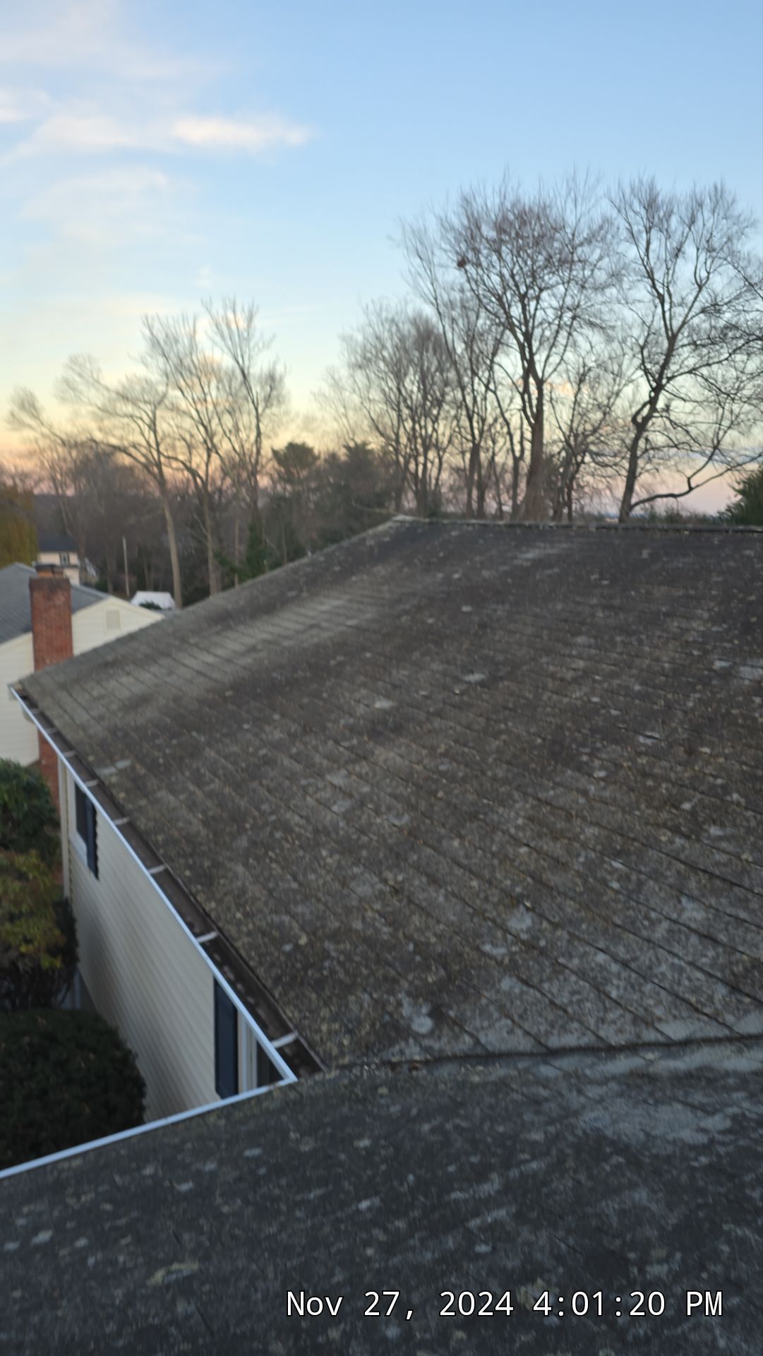 Roof covered in moss, overlooking residential area with trees and a colorful sky.