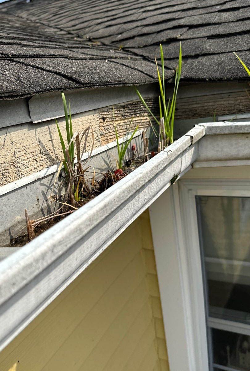 damaged roof