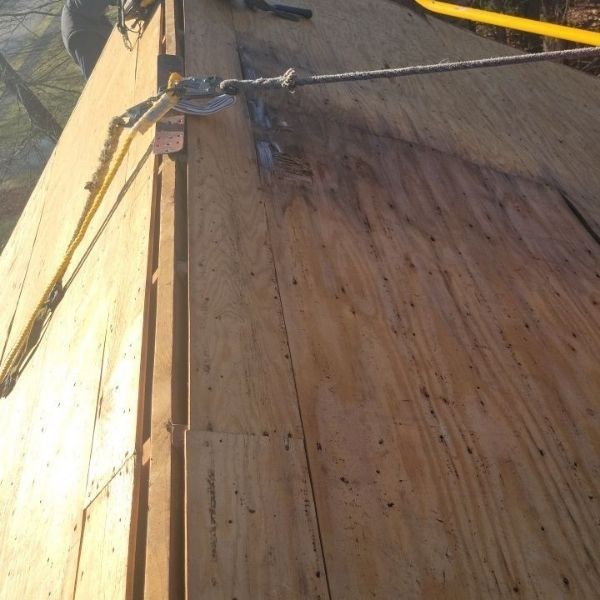 A worker is secured by a safety rope while installing plywood sheeting on a wooden residential roof.