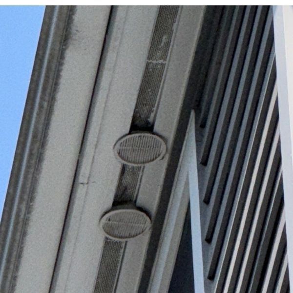 Two oval air vents in a concrete building's facade, with vertical lines of a support structure.