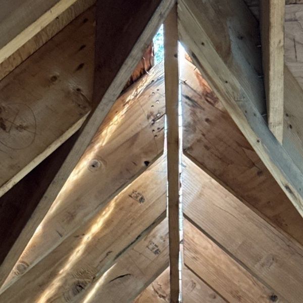 Wooden rafters forming a roof structure with natural light shining through the gaps.