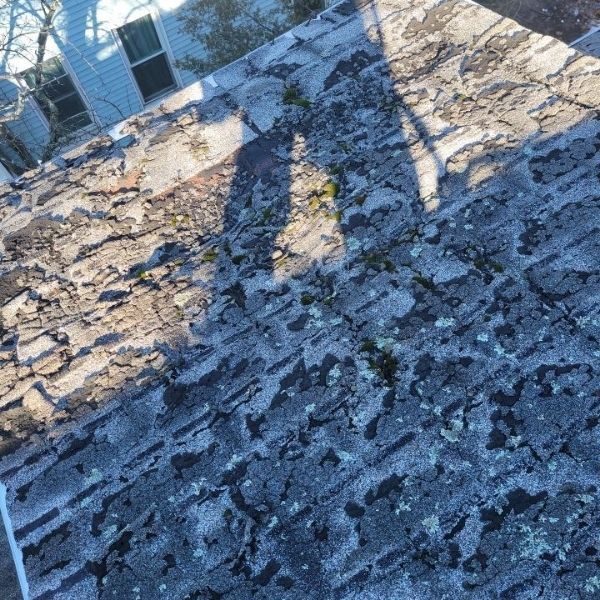 A weathered, gray asphalt shingle roof covered in patches of dark moss and lichen, viewed from above.