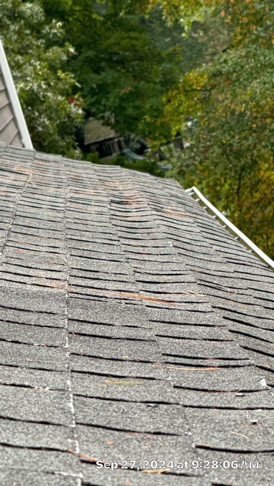 Close-up of a weathered asphalt shingle roof, with a gutter along the edge, and trees in the background.