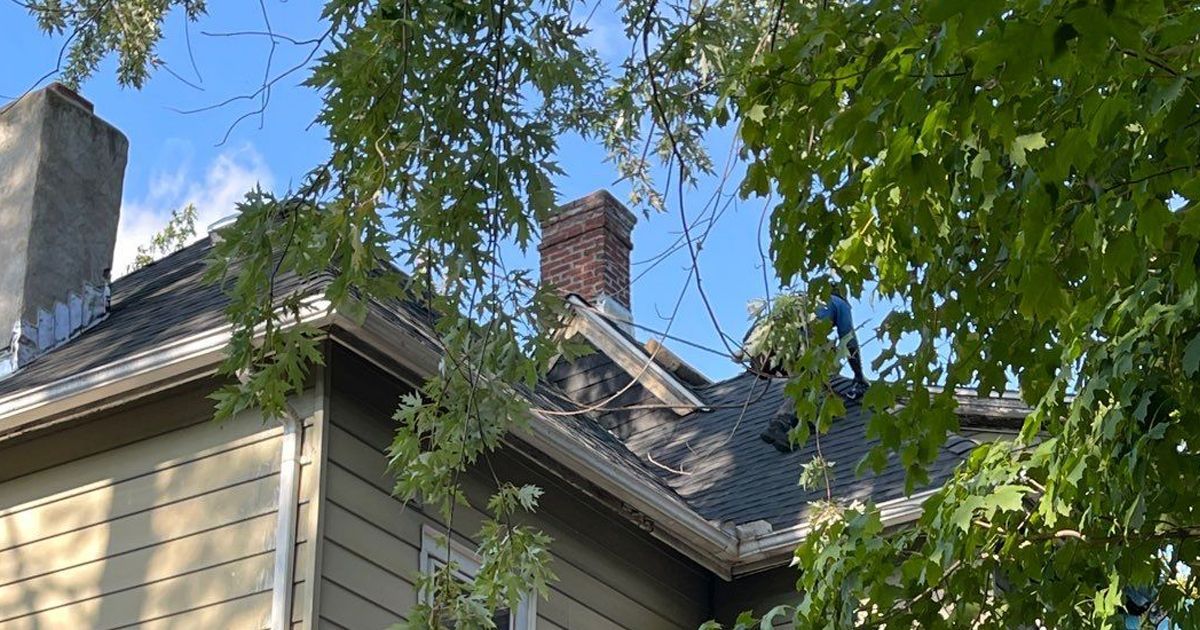 Picture of a roof with trees in front of it.