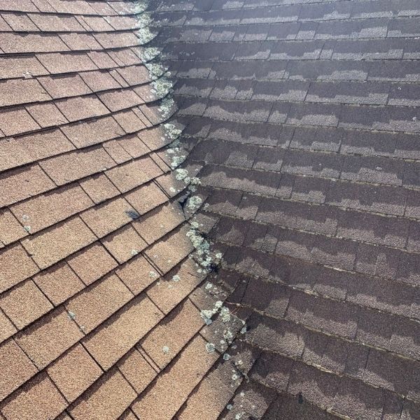 A roof valley shows significant moss and lichen buildup growing between the asphalt shingles along the seam.