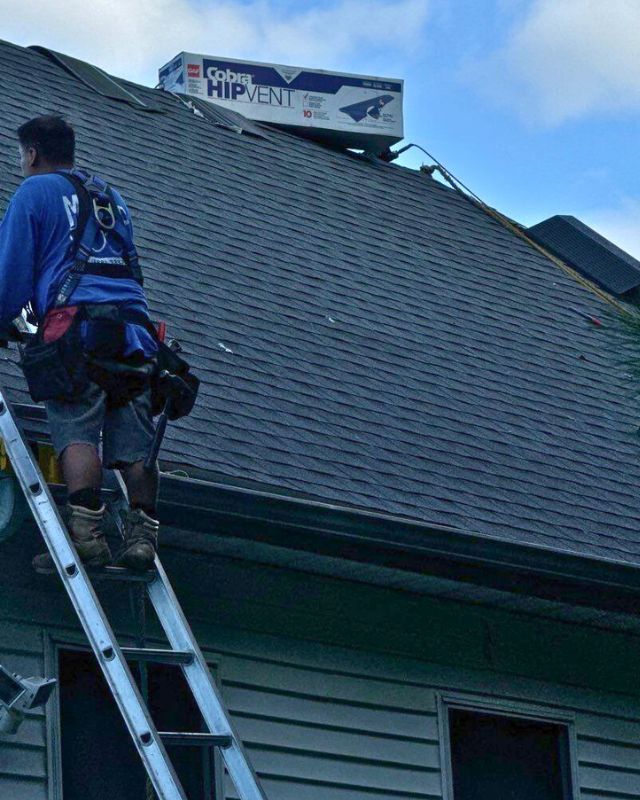 Roofer on ladder, blue shirt, dark shingles, safety harness. 