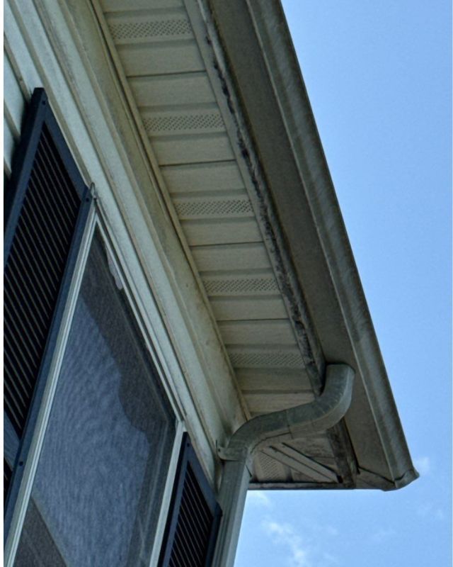 Side of house with cream-colored siding and a gutter. Black shutters and a window are visible. Blue sky in background.