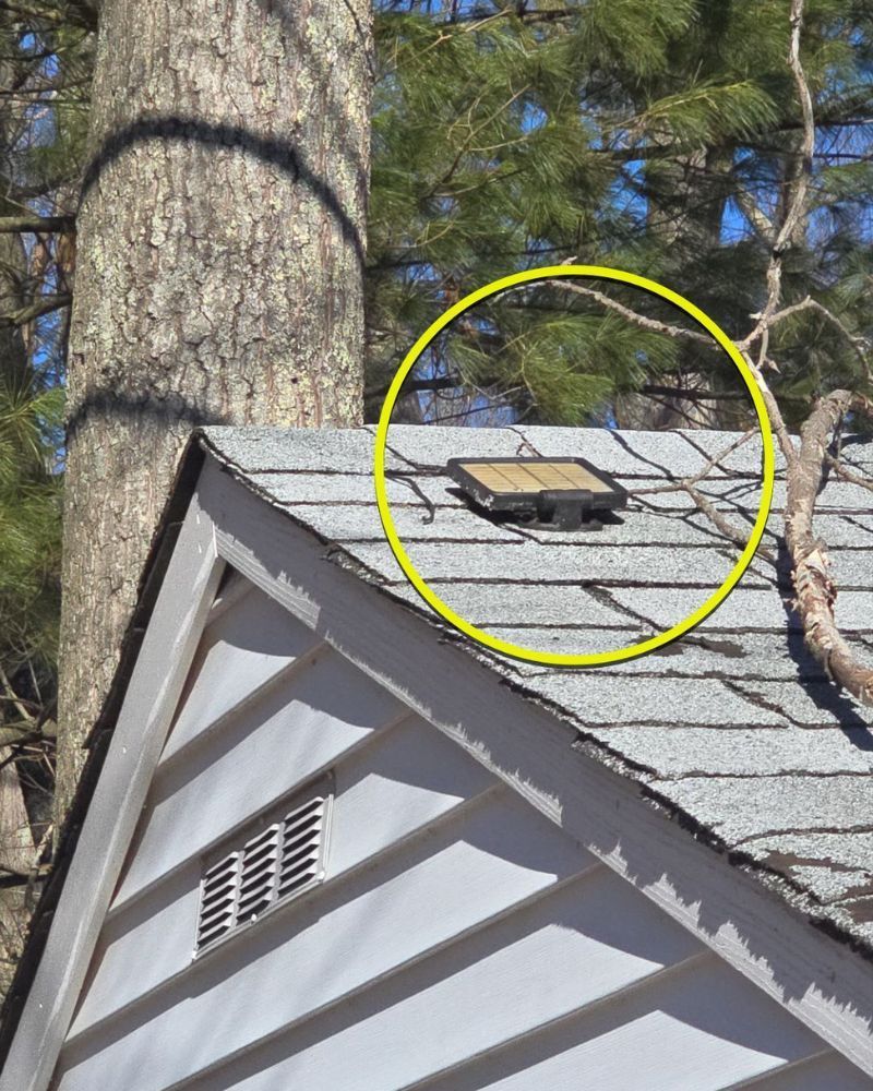 Yellow circle highlights a square roof vent on a shingled roof next to a tree trunk.