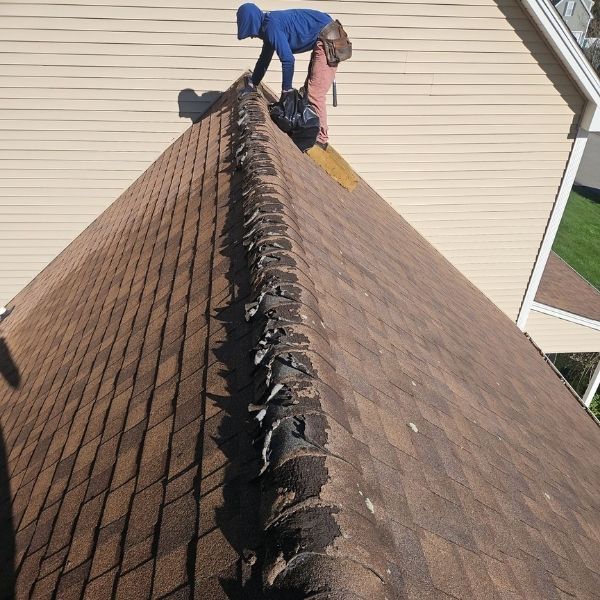 Deteriorated ridge vent shingles