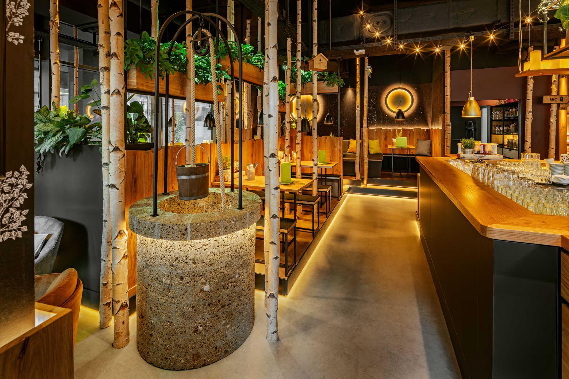 Innenraum von "Hans im Glück" in Wien. Gemütliche Bar mit Birkenstämmen, vielen Flaschen, Pflanzen & warmer Beleuchtung.