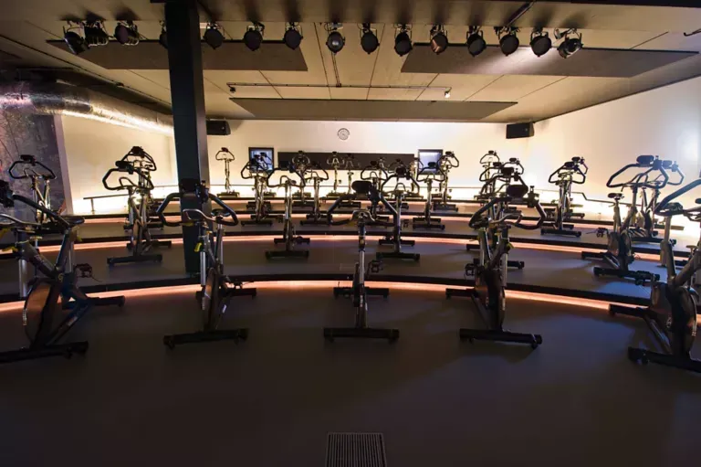 Synthetic Floor for Gym