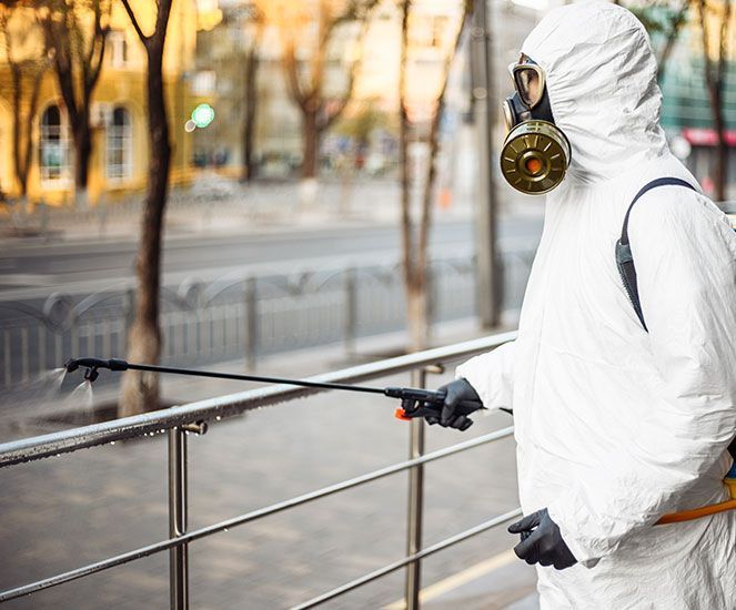 Servicio de control de plagas en CDMX
