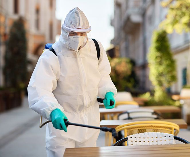 Servicio de fumigación en CDMX