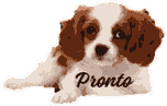 Pronto, the iPronto mascot