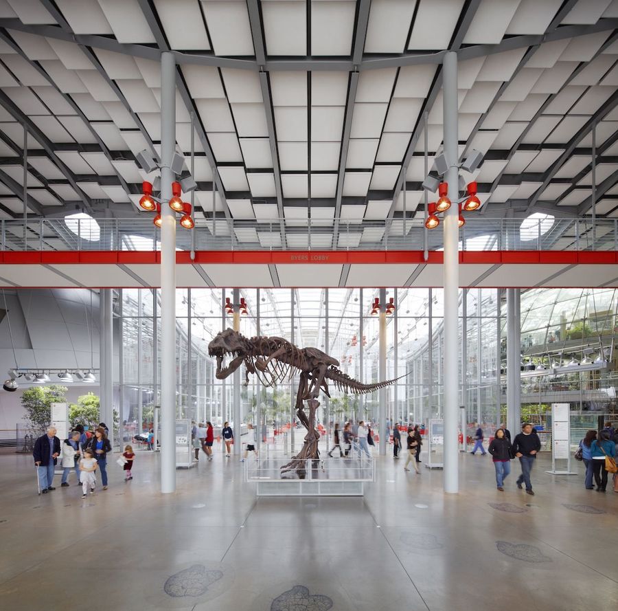 Oakland Goes Outdoors at California Academy of Sciences