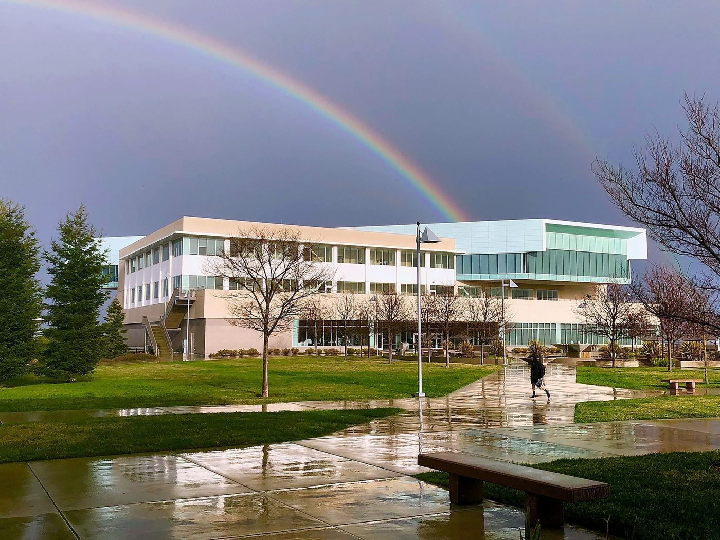 College of San Mateo