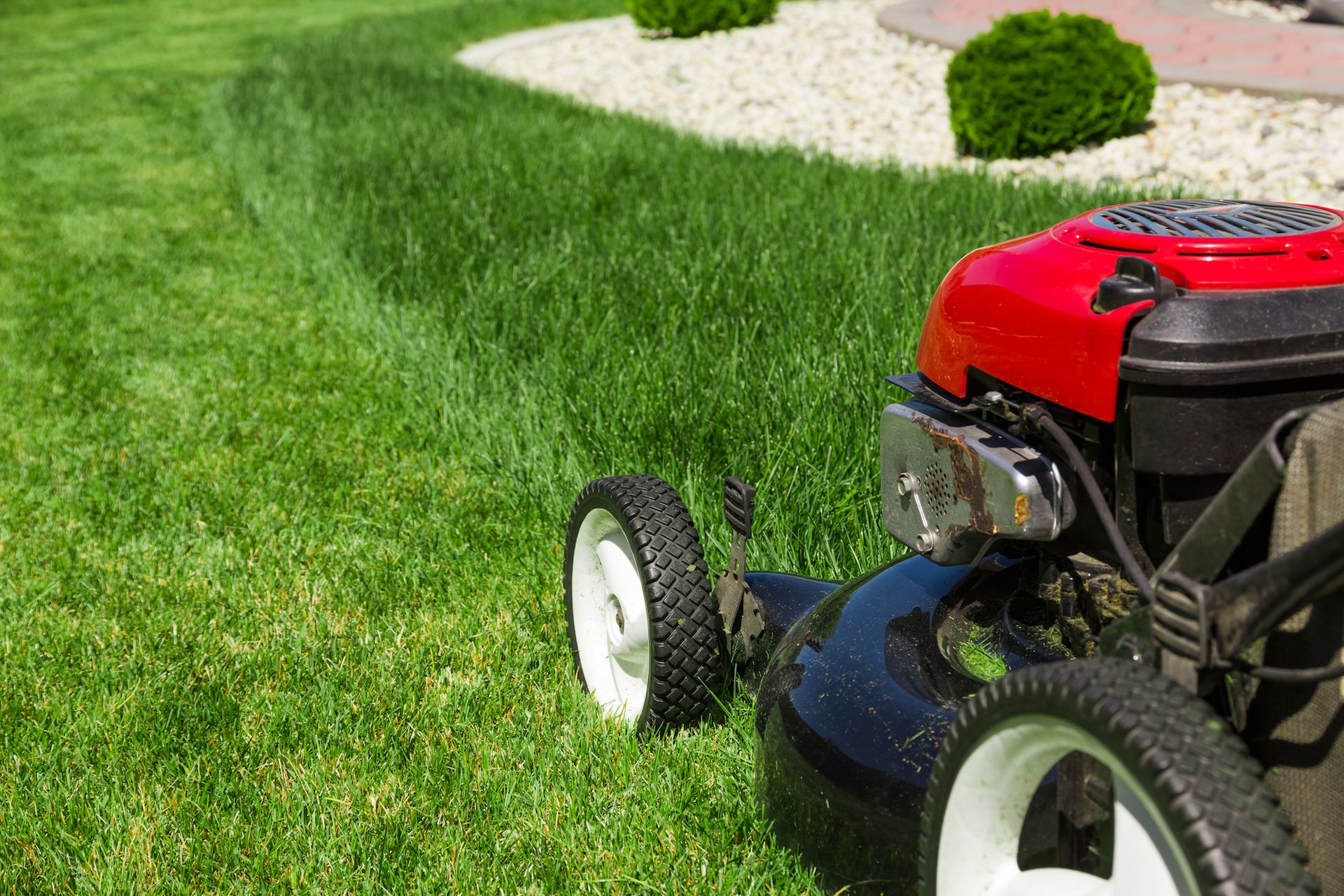 Red lawn mower.