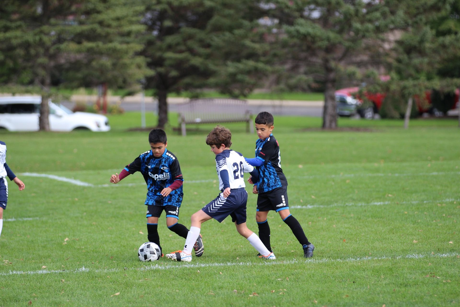 Rochester Summer Camps