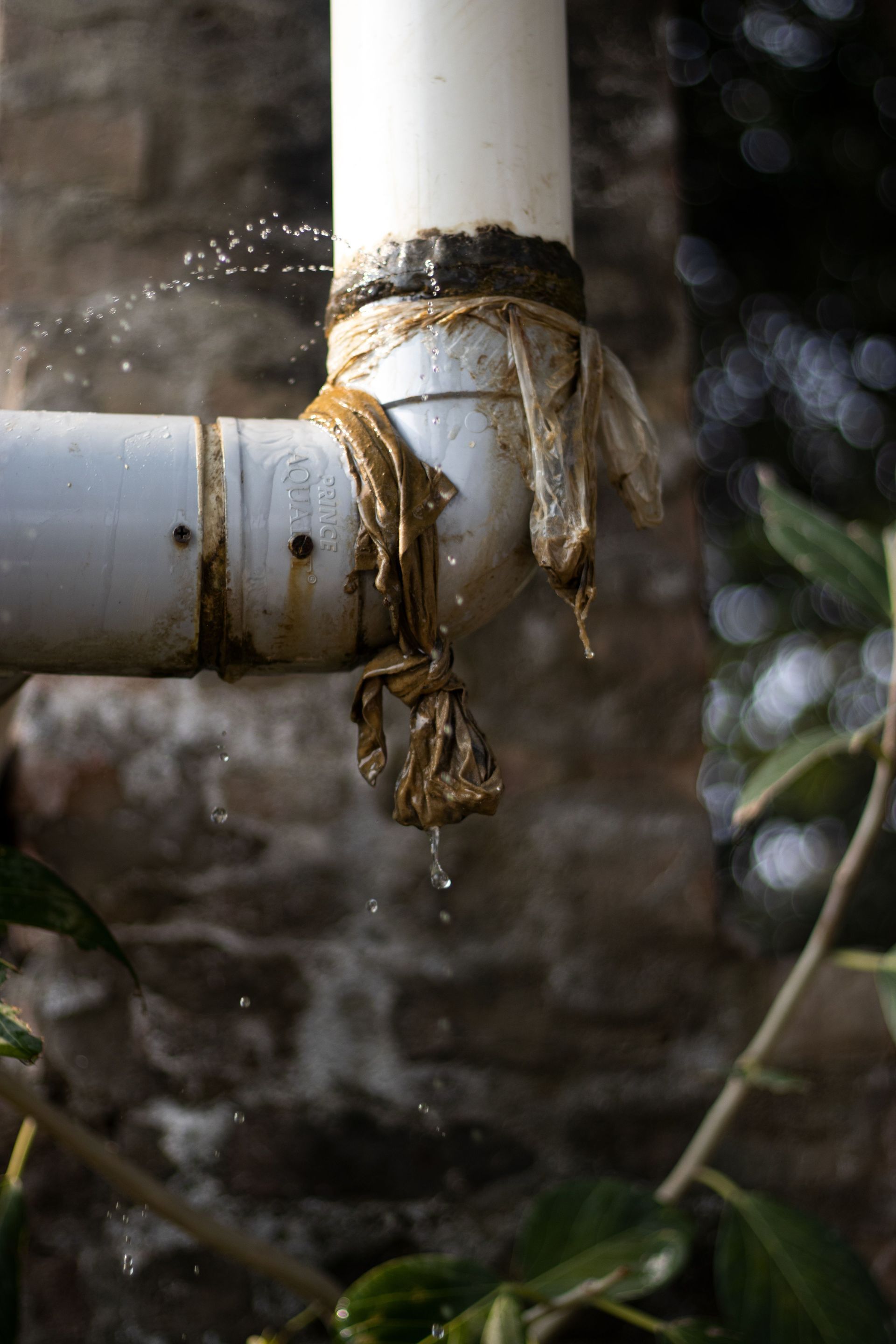 Water Pipe Replacement