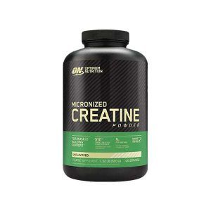 Optimum Nutrition Micronized Creatine Powder 600G