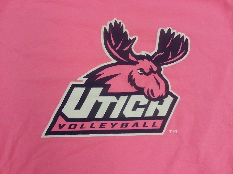 University of Wyoming volleyball logo with a pink bucking horse on a pink background