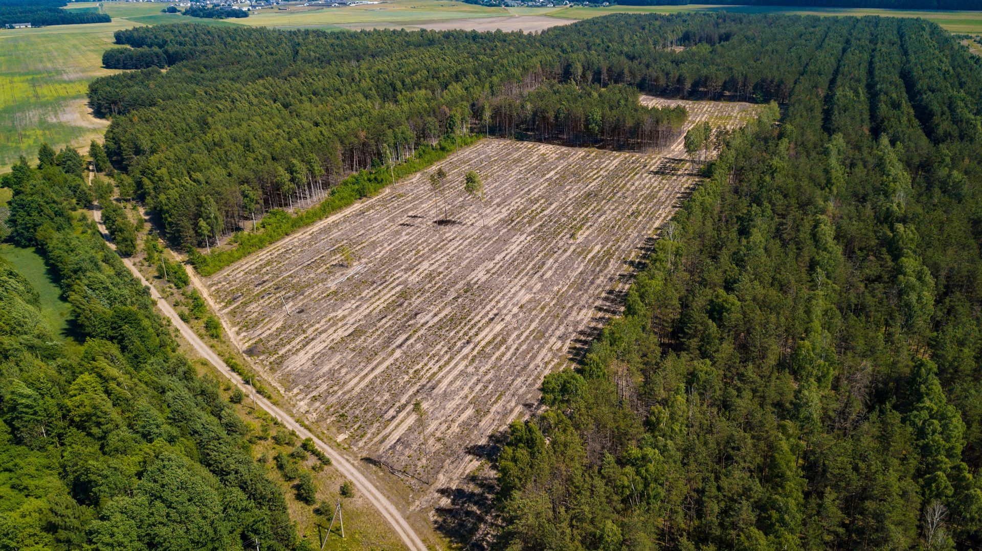 Aerial view of a large cleared field surrounded by dense green forest and a dirt road Aerial view of a large cleared field surrounded by dense green forest and a dirt road