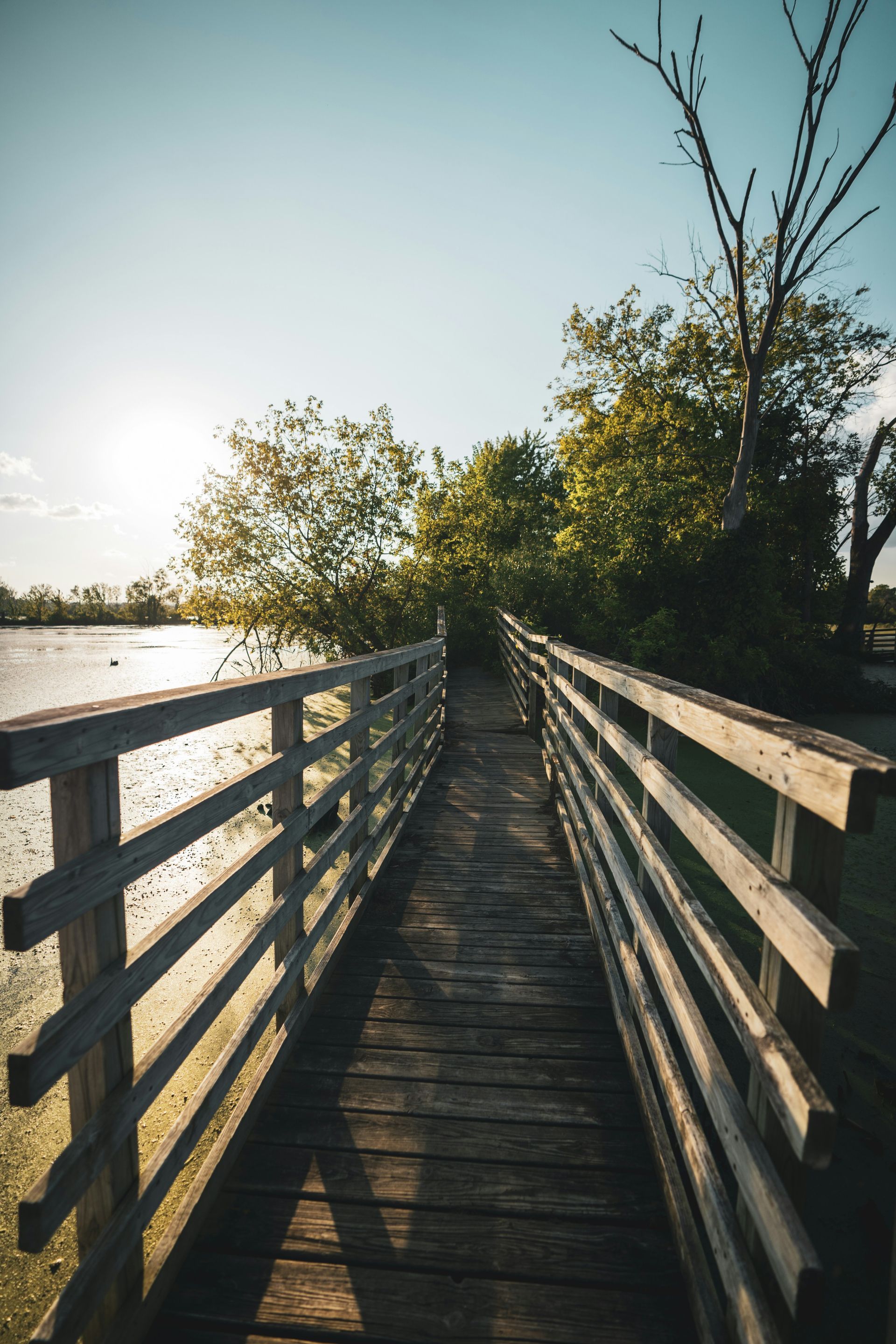 Wooden boardwalk beside a river at sunset, leading through trees and railings
