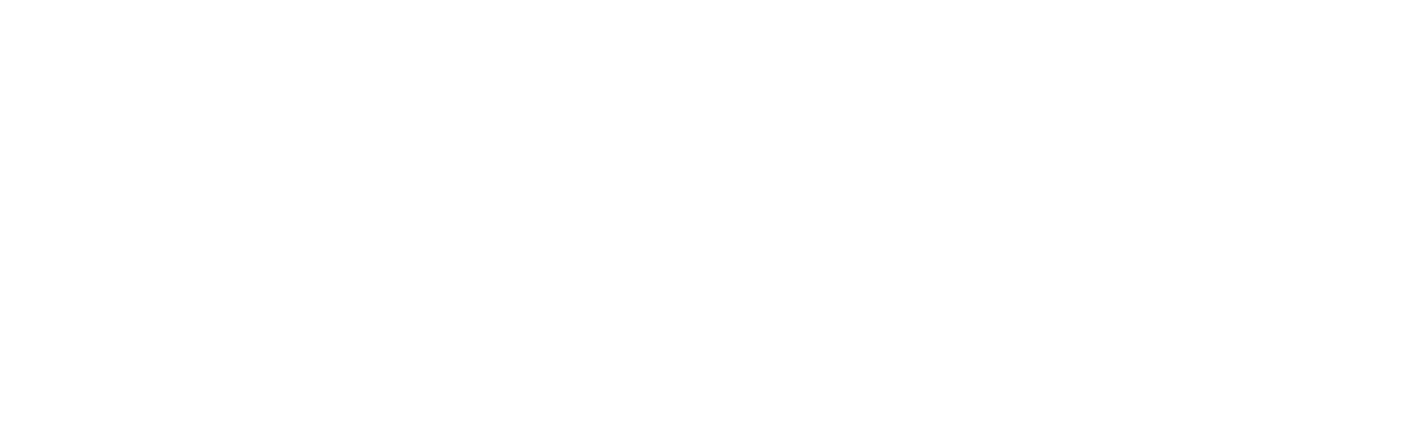 Bernardini Logo
