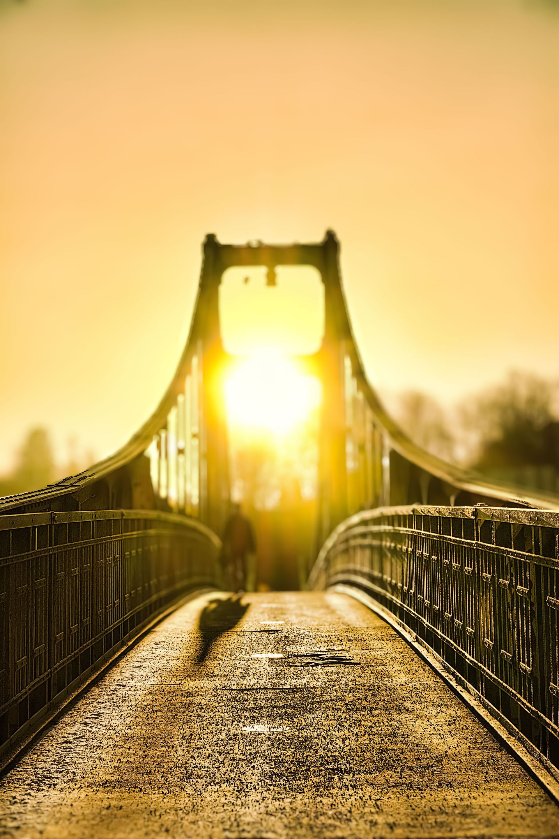 Ein sonnenbeschienener Hängebrückensteg im Sonnenaufgang, in helles goldenes Licht getaucht, dessen Geländer in die Ferne führen.