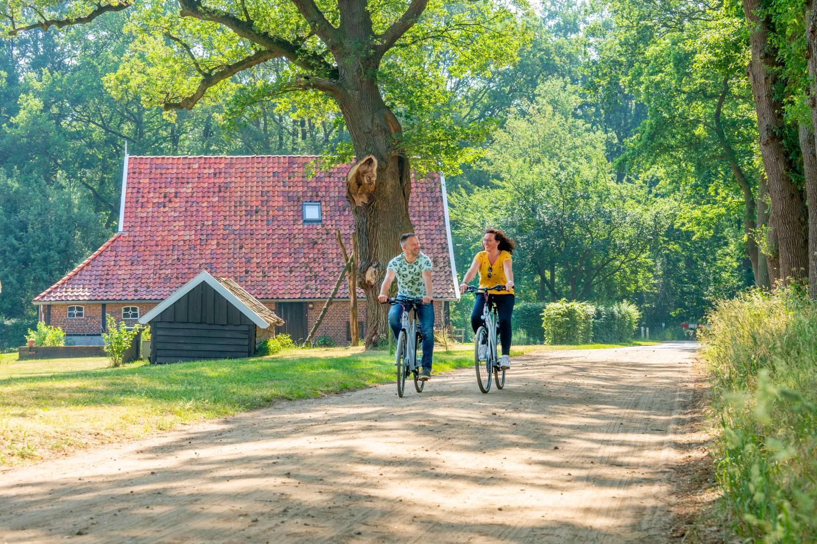 Fietsen door de mooie natuur van de Achterhoek, de Liemers of het Montferland.