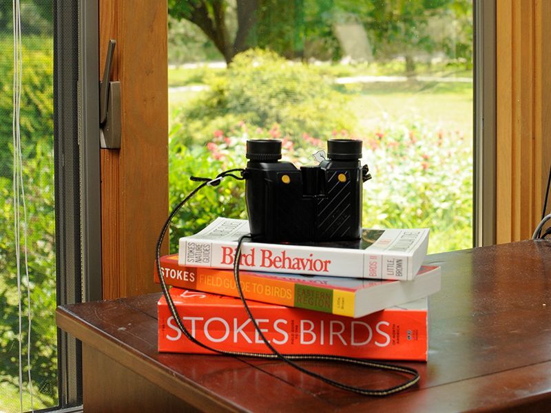 Binoculars on a stack of bird books, near a window overlooking a garden.