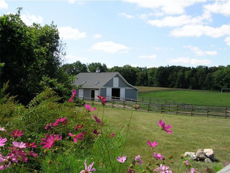 Barn with open doors, surrounded by green fields, pink flowers in foreground, blue sky.