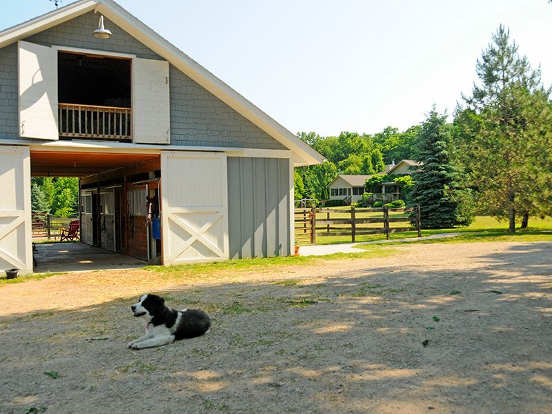 Dog resting in front of a gray barn with open stalls; a house is in the background.