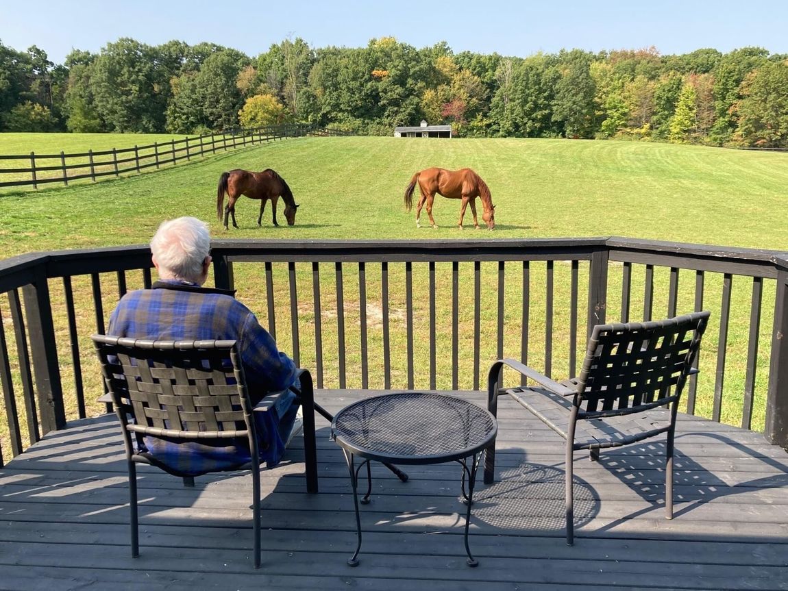 Man sitting on deck watching horses graze in a field. Sunny day, green grass, trees.