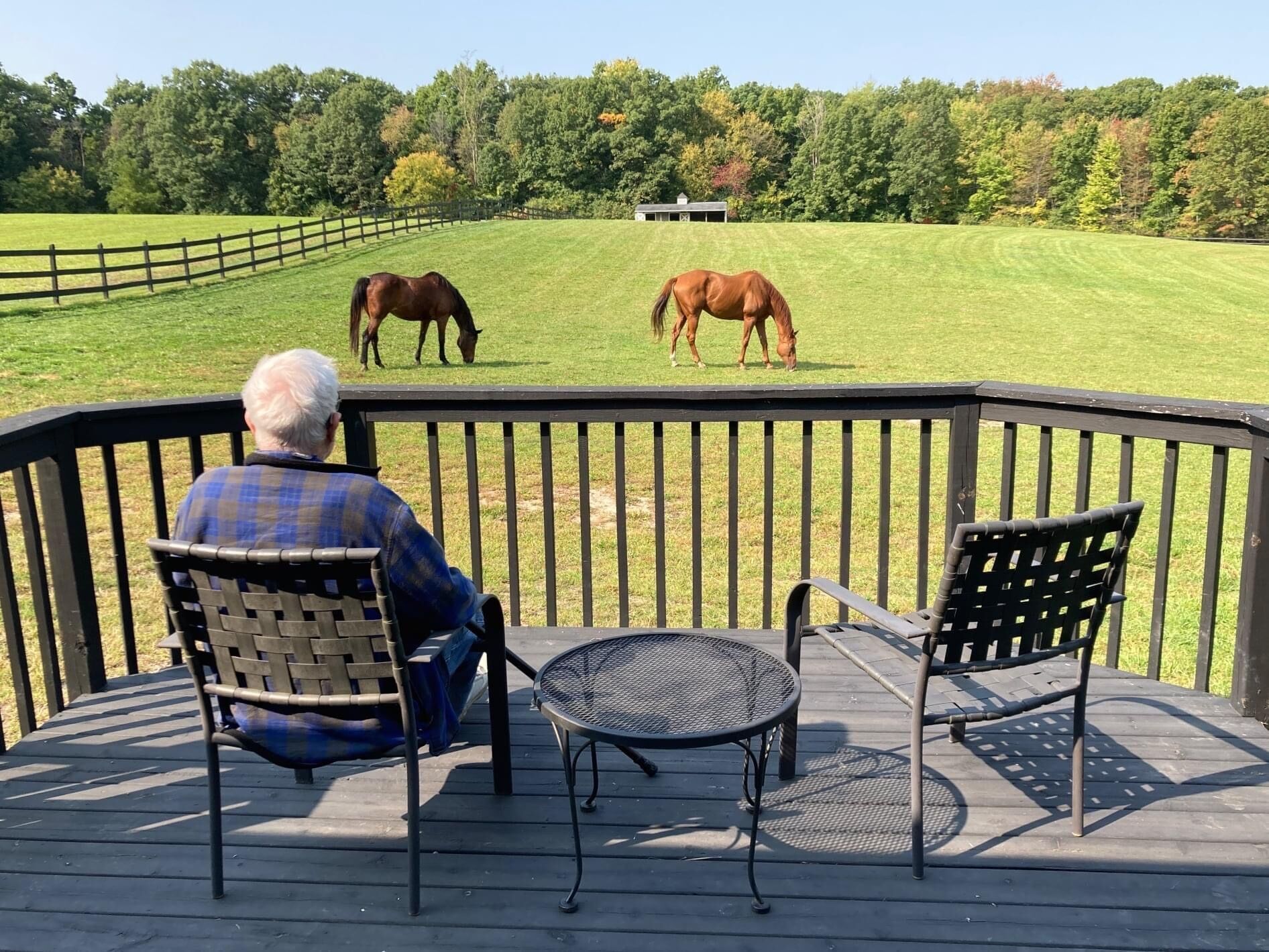 Man sitting on deck watching horses graze in a field. Sunny day, green grass, trees.