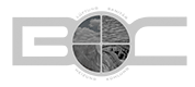 Firmenlogo Bauer & Co