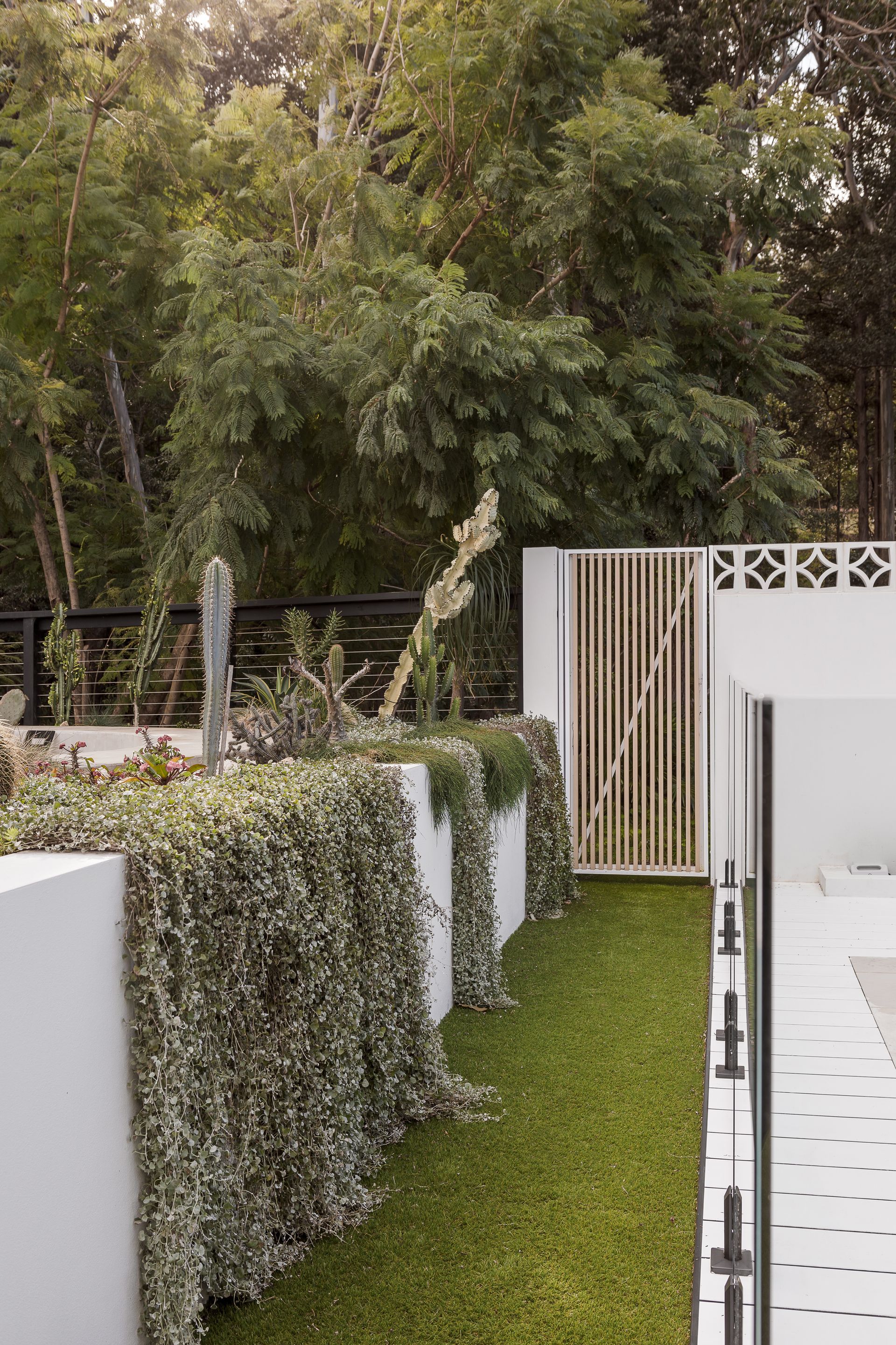 White walled garden with cascading greenery, green grass, and bamboo backdrop — Escarpment Building in Austinmer, NSW