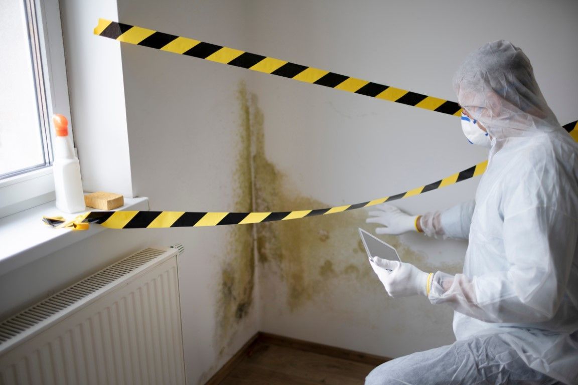 An image of Mold Removal in Delaware County PA