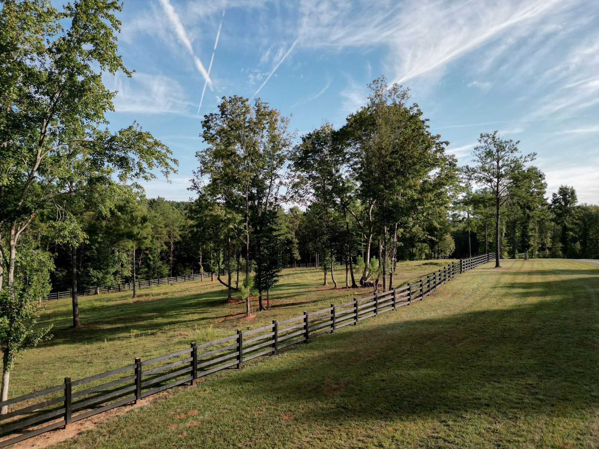 Wooded pasture with a split-rail fence and sunlit grassy field under a blue sky