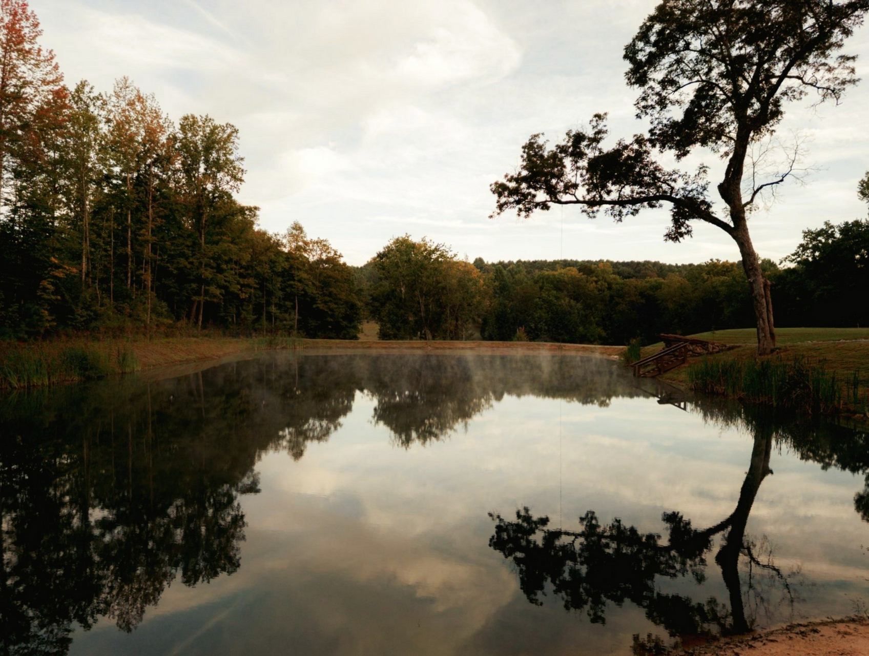 Calm lake reflecting trees and cloudy sky at sunset, with a tall tree on the right bank