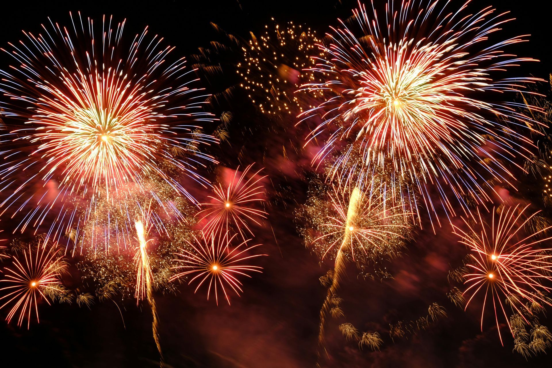 Colorful fireworks exploding in the night sky