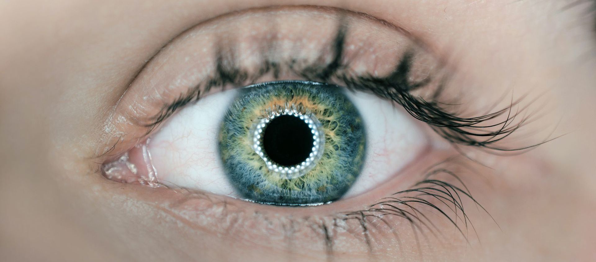 eye