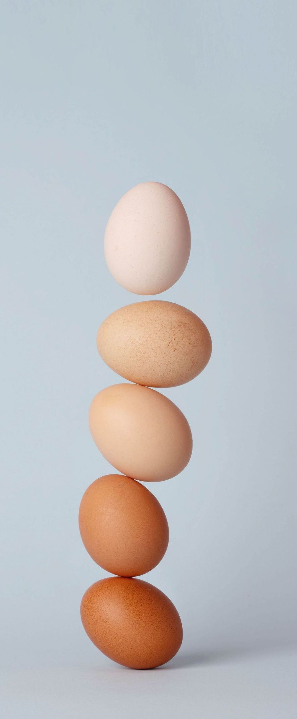 eggs