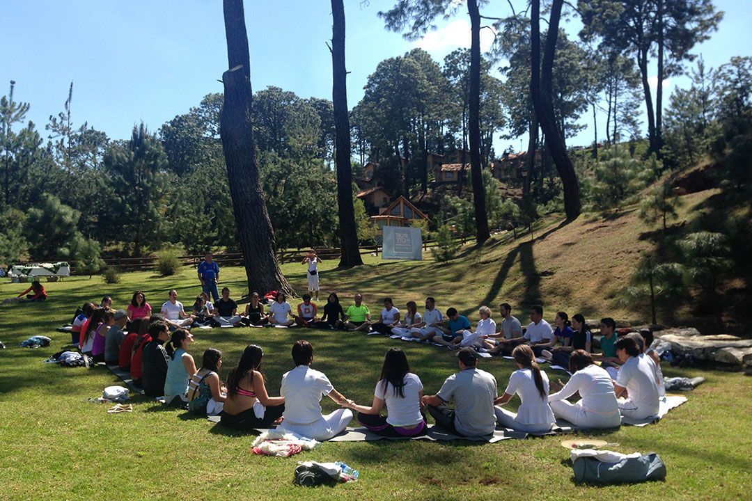 Un grupo de personas está sentado en círculo en el césped de un parque.
