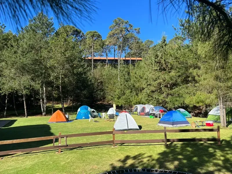 Un grupo de tiendas de campaña están ubicadas sobre un exuberante campo verde.