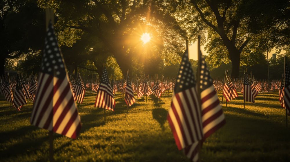 Rows of American flags at sunset in a park, with warm light shining through the trees