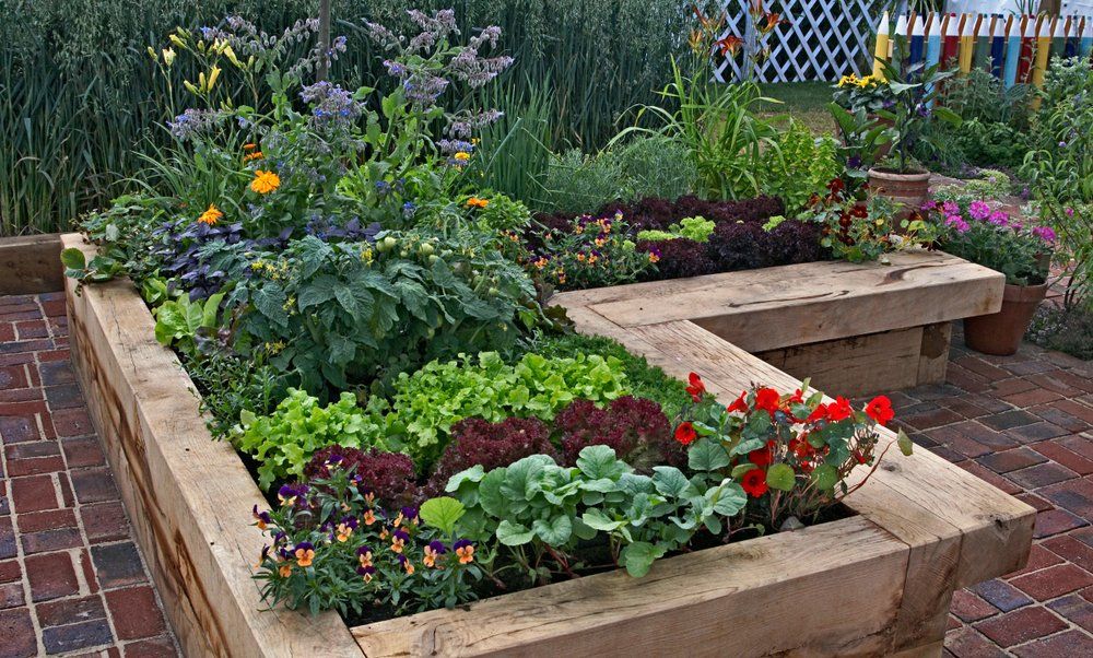 building a garden building or a shed? building a garden building or a shed?