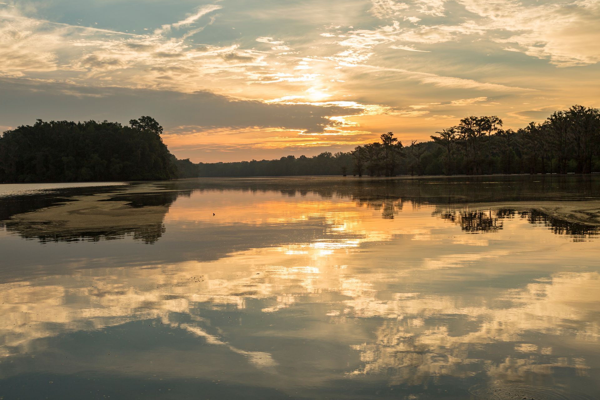 Sunset over a calm river reflecting clouds and silhouetted trees