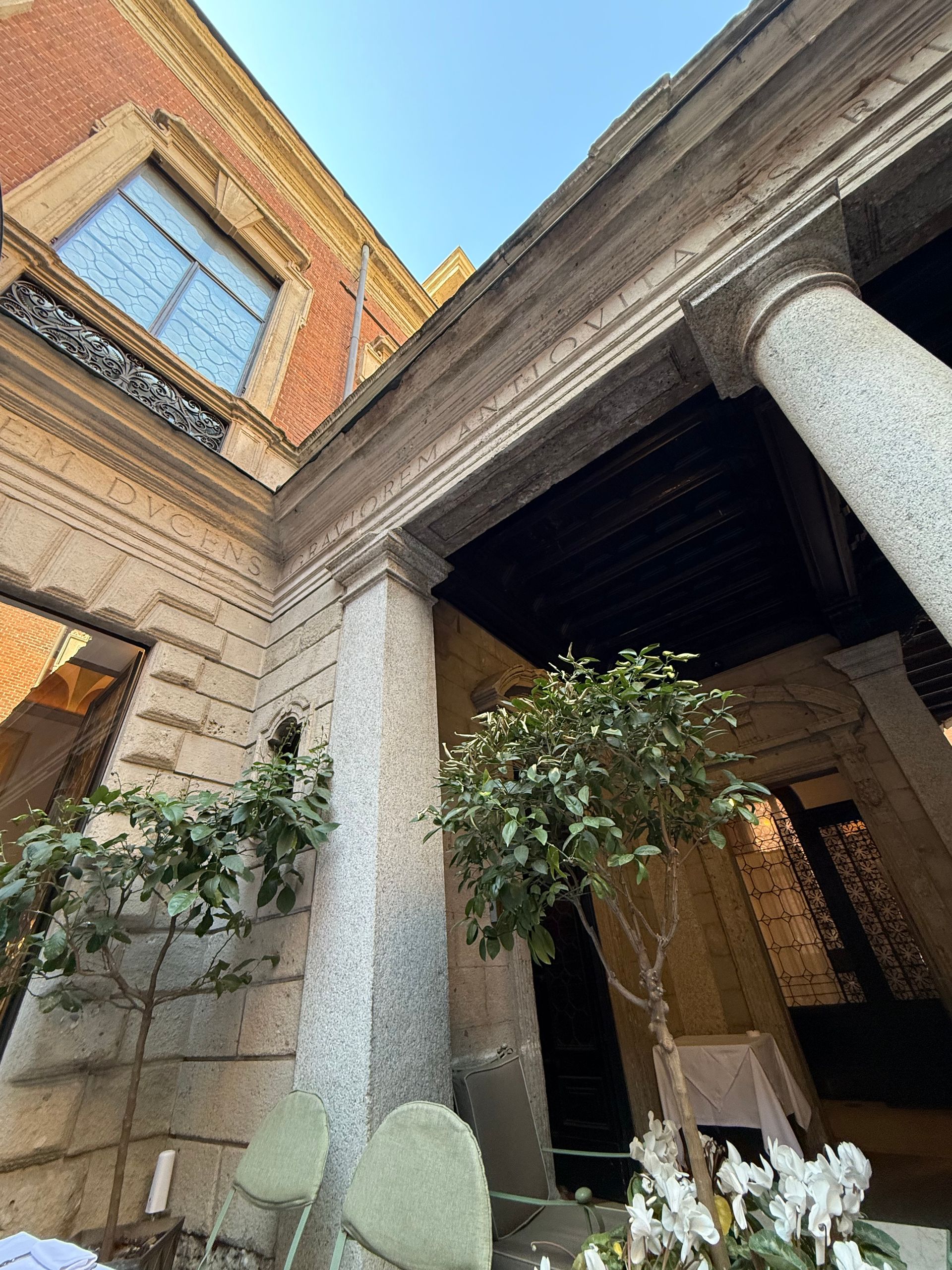 Looking up at a building with columns and a tree in front of it.